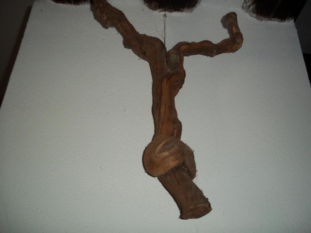B&B Sa Muredda Sardara Dış mekan fotoğraf